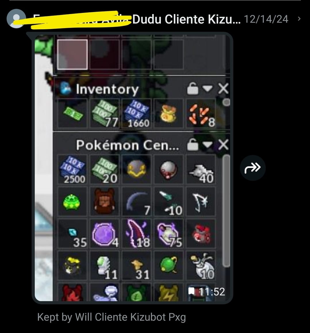 Resultado do KizuBot - Inventário Repleto